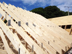 Carpenter Truro